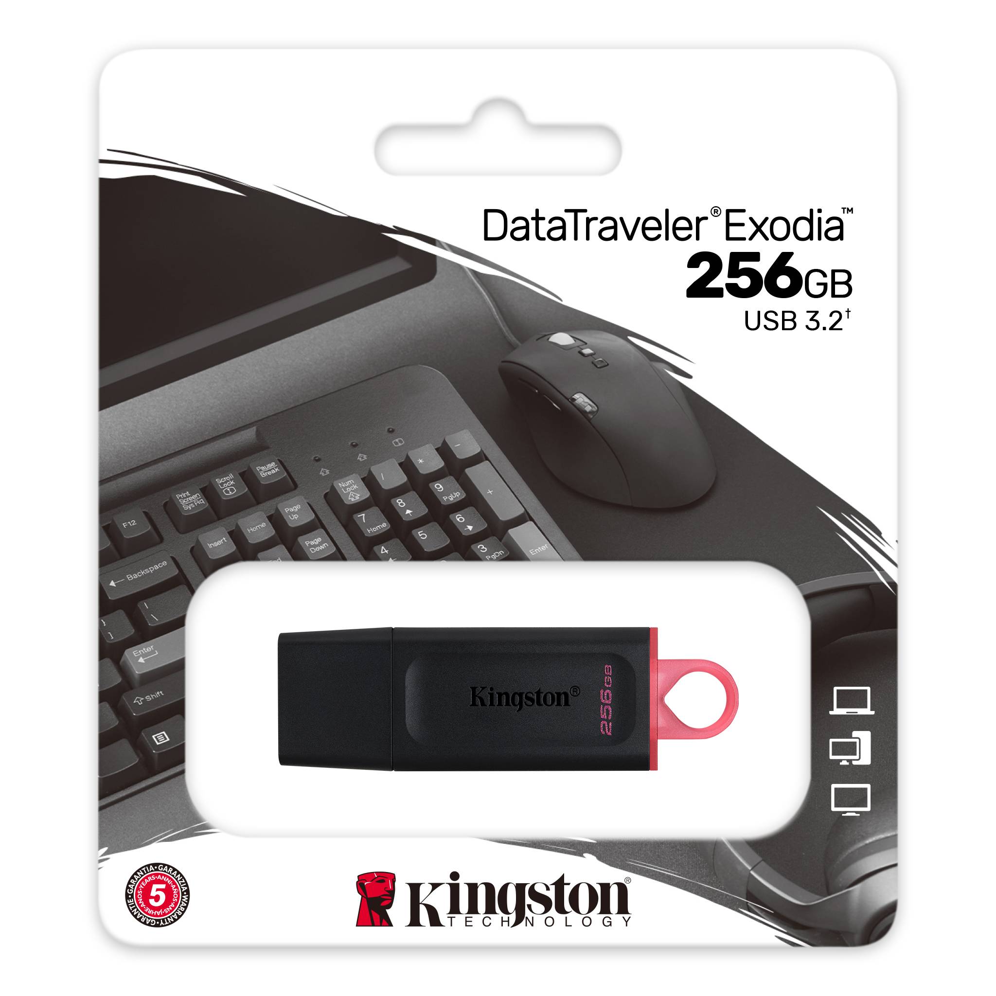 Memoria USB Kingston Datatraveler 3.2 DTX Exodia- 256GB - Negra