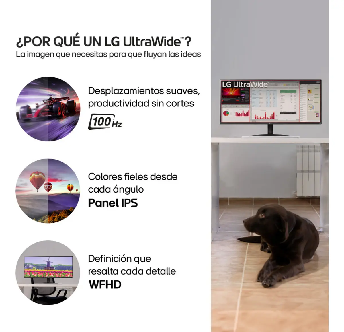 Monitor LG 34" 34U511A-B - Panel IPS - HDMI - FHD - Ultrawide - 2560 X 1080 - 100HZ - 5MS